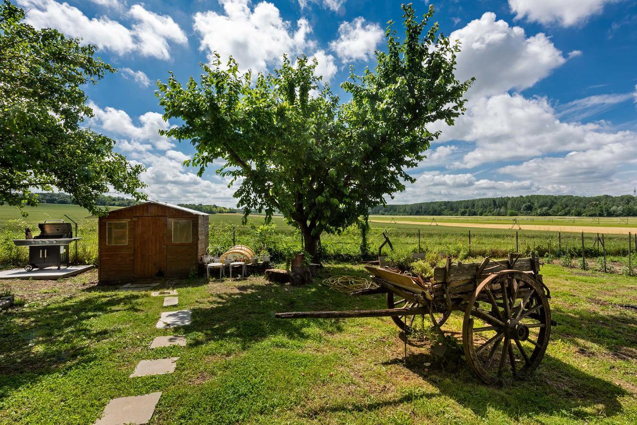 Bed and Breakfast Domaine Du Bois Des Anges Germigny-l'Eveque Exterior foto